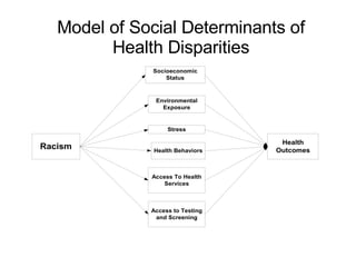 Model of Social Determinants of Health Disparities 