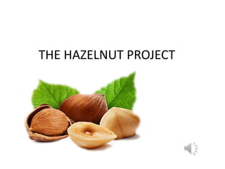 Project Hazelnut Ferrero Mini Case Study | PPTX