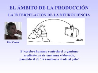 EL ÁMBITO DE LA PRODUCCIÓN El cerebro humano controla el organismo mediante un sistema muy elaborado, parecido al de “la z...