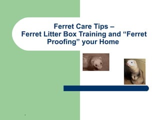Ferret Care Tips – Ferret Litter Box Training  and “Ferret Proofing” your Home  .  