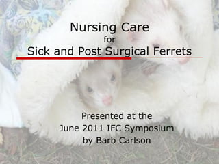Nursing Care
             for
Sick and Post Surgical Ferrets




          Presented at the
     June 2011 IFC Symposium
          by Barb Carlson
 