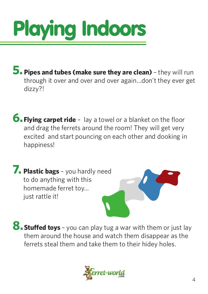 ferret tunnels homemade