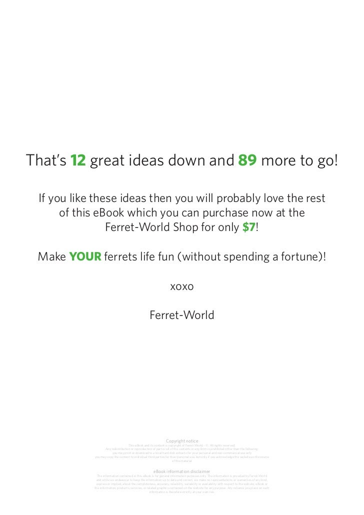 101 ferret games and homemade ferret toys