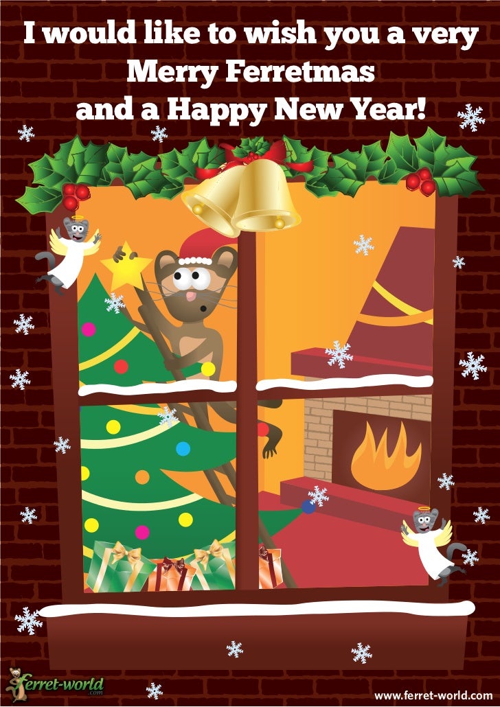 101 ferret games and homemade ferret toys