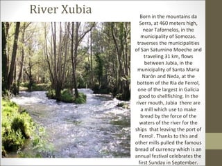 River Xubia      Born in the mountains da
                Serra, at 460 meters high,
                   near Tafornelos, in the
                 municipality of Somozas.
               traverses the municipalities
              of San Saturnino Moeche and
                   traveling 31 km, flows
                   between Jubia, in the
               municipality of Santa Maria
                  Narón and Neda, at the
               bottom of the Ria de Ferrol,
               one of the largest in Galicia
                good to shellfishing. In the
              river mouth, Jubia there are
                 a mill which use to make
                 bread by the force of the
                waters of the river for the
              ships that leaving the port of
                Ferrol . Thanks to this and
              other mills pulled the famous
              bread of currency which is an
              annual festival celebrates the
                first Sunday in September.
 