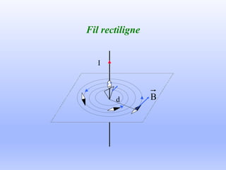 Fil rectiligne
I
B
d
 