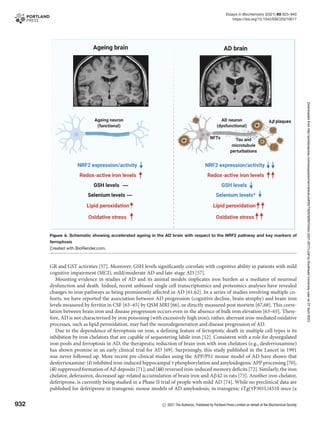 Ferroptosis and NRF2 an emerging battlefield in the neurodegeneration ...
