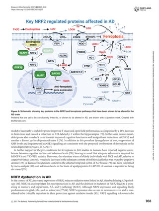 Ferroptosis and NRF2 an emerging battlefield in the neurodegeneration ...