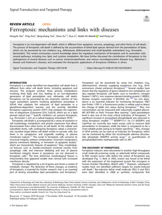 REVIEW ARTICLE OPEN
Ferroptosis: mechanisms and links with diseases
Hong-fa Yan1
, Ting Zou2
, Qing-zhang Tuo1
, Shuo Xu1,2
, Hua Li2
, Abdel Ali Belaidi 3
and Peng Lei1
Ferroptosis is an iron-dependent cell death, which is different from apoptosis, necrosis, autophagy, and other forms of cell death.
The process of ferroptotic cell death is deﬁned by the accumulation of lethal lipid species derived from the peroxidation of lipids,
which can be prevented by iron chelators (e.g., deferiprone, deferoxamine) and small lipophilic antioxidants (e.g., ferrostatin,
liproxstatin). This review summarizes current knowledge about the regulatory mechanism of ferroptosis and its association with
several pathways, including iron, lipid, and cysteine metabolism. We have further discussed the contribution of ferroptosis to the
pathogenesis of several diseases such as cancer, ischemia/reperfusion, and various neurodegenerative diseases (e.g., Alzheimer’s
disease and Parkinson’s disease), and evaluated the therapeutic applications of ferroptosis inhibitors in clinics.
Signal Transduction and Targeted Therapy (2021)6:49 ; https://doi.org/10.1038/s41392-020-00428-9
INTRODUCTION
Ferroptosis is a newly identiﬁed iron-dependent cell death that is
different from other cell death forms, including apoptosis and
necrosis. The program involves three primary metabolisms
involving thiol, lipid, and iron, leading to an iron-dependent
generation of lipid peroxidation and, ultimately, cell death.
Ferroptosis can be prevented by the enzymatic reaction of two
major antioxidant systems involving glutathione peroxidase 4
(GPx4) that catalyzes the reduction of lipid peroxides in a
glutathione-dependent reaction and the recently identiﬁed
ferroptosis suppressor protein (FSP1) that catalyzes the regenera-
tion of ubiquinone (Coenzyme Q10, CoQ10), which act as a lipid
peroxyl radical trap.1,2
Speciﬁc inhibitors can prevent ferroptosis,
e.g., ferrostatin-1 acts as a radical-trapping antioxidant (RTA).1
Ferroptotic cell death is accompanied by a series of variations in
cell morphology, metabolism, and protein expression that allows
discrimination from other forms of cell death. At the cellular and
subcellular levels, cells undergoing ferroptosis adopt a character-
istic rounded shape before cell death similar to necrotic cells, but
there is no cytoplasmic and organelle swelling, or plasma
membrane rupture.1,3
The nuclei in ferroptotic cells conserve its
structural integrity, without condensation, chromatin margination,
plasma membrane blebbing, or formation of apoptotic bodies,1
which are characteristic features of apoptosis.4
Also, morphologi-
cal features such as double-membrane enclosed vesicles from
autophagic cells and intensive blebbing and loss of plasma
membrane integrity shown in pyroptosis, are not observed in
ferroptotic cells.5
The lone distinctive morphological feature is
mitochondria that appeared smaller than normal with increased
membrane density.1
Ferroptosis is regulated by a set of genes and shows a variety of
metabolic changes. The detection of these changes, as evidence
of ferroptosis, is essential for further research. Iron is an essential
part of driving intracellular lipid peroxidation and ferroptosis.6
Ferroptosis can be prevented by using iron chelators (e.g.,
deferoxamine), whereas supplying exogenous iron (e.g., ferric
ammonium citrate) enhances ferroptosis.1,7
Several studies have
shown that the regulation of genes related to iron metabolism can
also regulate ferroptotic cell death, such as transferrin, nitrogen
ﬁxation 1 (NFS1), iron response element-binding protein 2 (IREB2),
Nuclear receptor coactivator 4 (NCOA4), etc.1,8,9
So, iron abun-
dance is an essential indicator for monitoring ferroptosis. FRET
Iron Probe 1 (FIP-1), a ﬂuorescence probe, is widely used to detect
the change of labile iron status during ferroptosis.10
Also, iron
concentration can be measured with inductively coupled plasma-
MS (ICP-MS) or Perls’ Prussian Blue staining.5
Lipid peroxidation
level is also one of the most critical indicators of ferroptosis.1
A
signiﬁcant increase in peroxidized phospholipids was observed in
many ferroptosis models.11,12
BODIPY-C11 (or C11-BODIPY) and
LiperFluo are currently two major assays used to measure lipid
peroxidation in ferroptosis, while the latter is considered to be a
more reliable probe owing to its higher speciﬁcity.11
Also, changes
in GPx4 activity can be used as an indicator for ferroptosis, which
can be monitored by either the nicotinamide adenine dinucleo-
tide phosphate (NADPH) activity assay13
or quantiﬁcation of
phosphatidylcholine hydroperoxide with LC-MS.5
THE DISCOVERY OF FERROPTOSIS
Ferroptosis inducers were discovered in another high-throughput
small molecule-screening study, as selectively lethal compounds
to RAS mutant tumor cells, before the notion of ferroptosis was
developed (Fig. 1). Back in 2003, erastin was found to be lethal
with the expression of the engineered mutant Ras oncogene in
human foreskin ﬁbroblasts (BJeLR cells).14
However, subsequent
studies have not identiﬁed sufﬁcient targets for erastin-induced
cell death.3
Ras-selective lethal small molecule (RSL)-3 and RSL5
were later identiﬁed in 2008 as synthetic compounds that
Received: 17 August 2020 Revised: 3 November 2020 Accepted: 16 November 2020
1
Department of Neurology and State Key Laboratory of Biotherapy, West China Hospital, Sichuan University, and Collaborative Center for Biotherapy, 610041 Chengdu, China;
2
West China School of Basic Medical Sciences and Forensic Medicine, Sichuan University, 610041 Chengdu, China and 3
Melbourne Dementia Research Centre and the Florey
Institute of Neuroscience and Mental Health, The University of Melbourne, Parkville, VIC 3052, Australia
Correspondence: Abdel Ali Belaidi (abdel.belaidi@ﬂorey.edu.au) or Peng Lei (peng.lei@scu.edu.cn)
These authors contributed equally: Hong-fa Yan, Ting Zou, Qing-zhang Tuo.
www.nature.com/sigtrans
Signal Transduction and Targeted Therapy
© The Author(s) 2021
1234567890();,:
 
