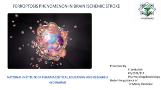 FERROPTOSIS PHENOMENON IN BRAIN ISCHEMIC STROKE [Autosaved] [Autosaved ...