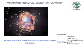 FERROPTOSIS PHENOMENON IN BRAIN ISCHEMIC STROKE
NATIONAL INSTITUTE OF PHARMACEUTICAL EDUCATION AND RESEARCH
HYDERABAD
Presented by
Y. Veekshith
PC/2021/217
Pharmacology&toxicology
Under the guidance of
Dr Manoj Dandekar
 