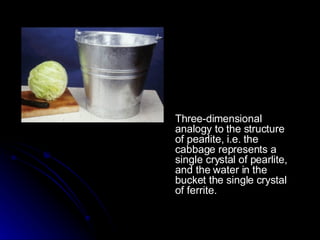 Three-dimensional analogy to the structure of pearlite, i.e. the cabbage represents a single crystal of pearlite, and the water in the bucket the single crystal of ferrite.  