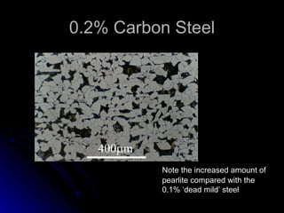 0.2% Carbon Steel Note the increased amount of pearlite compared with the 0.1% ‘dead mild’ steel 