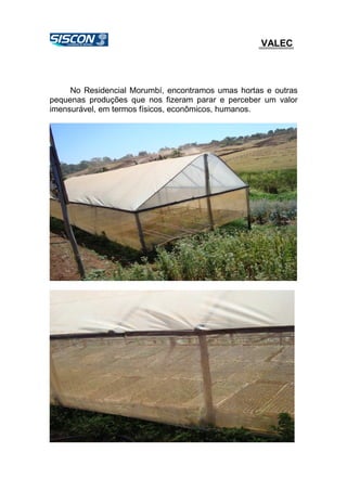 VALEC
No Residencial Morumbí, encontramos umas hortas e outras
pequenas produções que nos fizeram parar e perceber um valor
imensurável, em termos físicos, econômicos, humanos.
 