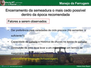 Fabiano Victor Siqueri
Manejo da Ferrugem
• Dar preferência para variedades de ciclo precoce (Há sementes o
suficiente?);
• Capacidade de colheita e Histórico de chuvas na época da colheita;
• Diminuição da área deve levar a um maior fôlego em termos de
maquinário (plantadeiras, pulverizadores e, principalmente,(plantadeiras, pulverizadores e, principalmente,
colheitadeiras/Transporte/Armazenagem).colheitadeiras/Transporte/Armazenagem).
Fatores a serem observados:Fatores a serem observados:
Encerramento da semeadura o mais cedo possívelEncerramento da semeadura o mais cedo possível
dentro da época recomendadadentro da época recomendada
 
