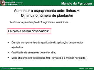 Fabiano Victor Siqueri
Manejo da Ferrugem
• Demais componentes da qualidade da aplicação devem estar
ajustados;
• Qualidade de sementes deve ser alta;
• Mais eficiente em variedades RR (“lavoura é o melhor herbicida”)
Fatores a serem observados:Fatores a serem observados:
Aumentar o espaçamento entre linhas +Aumentar o espaçamento entre linhas +
Diminuir o número de plantas/mDiminuir o número de plantas/m
Melhorar a penetração de fungicidas e inseticidas.
 