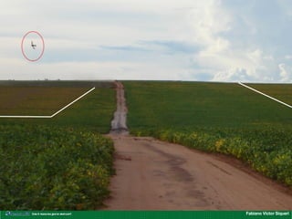 Fabiano Victor Siqueri
 