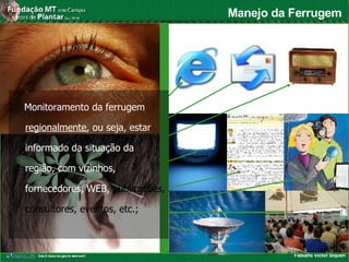 Fabiano Victor Siqueri
•Regional
Manejo da Ferrugem
Monitoramento da ferrugem
regionalmente, ou seja, estar
informado da situação da
região, com vizinhos,
fornecedores, WEB, publicações,
consultores, eventos, etc.;
 