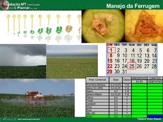 Fabiano Victor Siqueri
Manejo da Ferrugem
PREVENTIVO CURATIVO
R1-R3 VEGETATIVO
PrioriXtra+Nimbus 0,3+0,5% T+E
Nativo SC+OMS 0,5+0,25 T+E
Opera 0,5 T+E
Sphere+Attach 0,3+0,25 T+E
Folicur 0,5 T
Tríade 0,5 T
Constant 0,5 T
Orius 0,4 T
Rival 0,5 T
Alto 100 0,3 T
Artea 0,3 T+T
Prod. Comercial Dose Classe
 