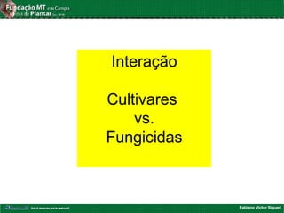Fabiano Victor Siqueri
Interação
Cultivares
vs.
Fungicidas
 