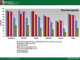 Fabiano Victor Siqueri
Rondonópolis
0
5
10
15
20
25
30
35
40
45
50
CONQUISTA PINTADO PERDIZ UIRAPURU MS8914 MÉDIA
sacas/ha
4X[2XPrioriXtra+Nimbus_ 2XArtea(0,3+0,5%_0,3+0,5%_0,3_0,3)]
3XNativo+OMS(0,5+0,25)
3XFolicur(0,5)
3XFolicur+Derosal(0,5+0,5)
3XOrius+Bendazol(0,3+0,3)
4XImpact(0,5)
TESTEMUNHA
 