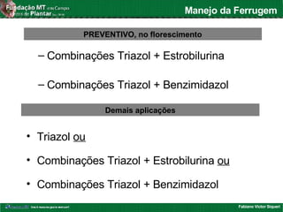Fabiano Victor Siqueri
Manejo da Ferrugem
– Combinações Triazol + Estrobilurina
– Combinações Triazol + Benzimidazol
PREVENTIVO, no florescimento
• Triazol ou
• Combinações Triazol + Estrobilurina ou
• Combinações Triazol + Benzimidazol
Demais aplicações
 