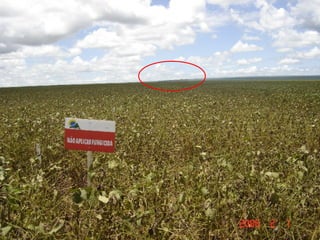 Fabiano Victor Siqueri
 