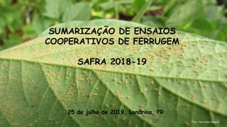 SUMARIZAÇÃO DE ENSAIOS
COOPERATIVOS DE FERRUGEM
SAFRA 2018-19
25 de julho de 2019, Londrina, PR
Foto: Hercules Campos
 