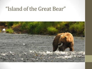 “Island of the Great Bear”
 