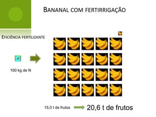 Complexas, partes móveis...FertirrigaçãoComparaçãoAlimentação da bananeiraDemanda X absorção e exportação de nutrientes FertirrigaçãoO que aplicar?