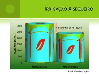 Nitrogênio e potássio