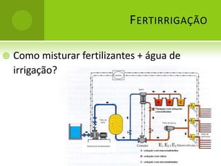 Sem comida a planta não cresce , produz...Fertirrigação