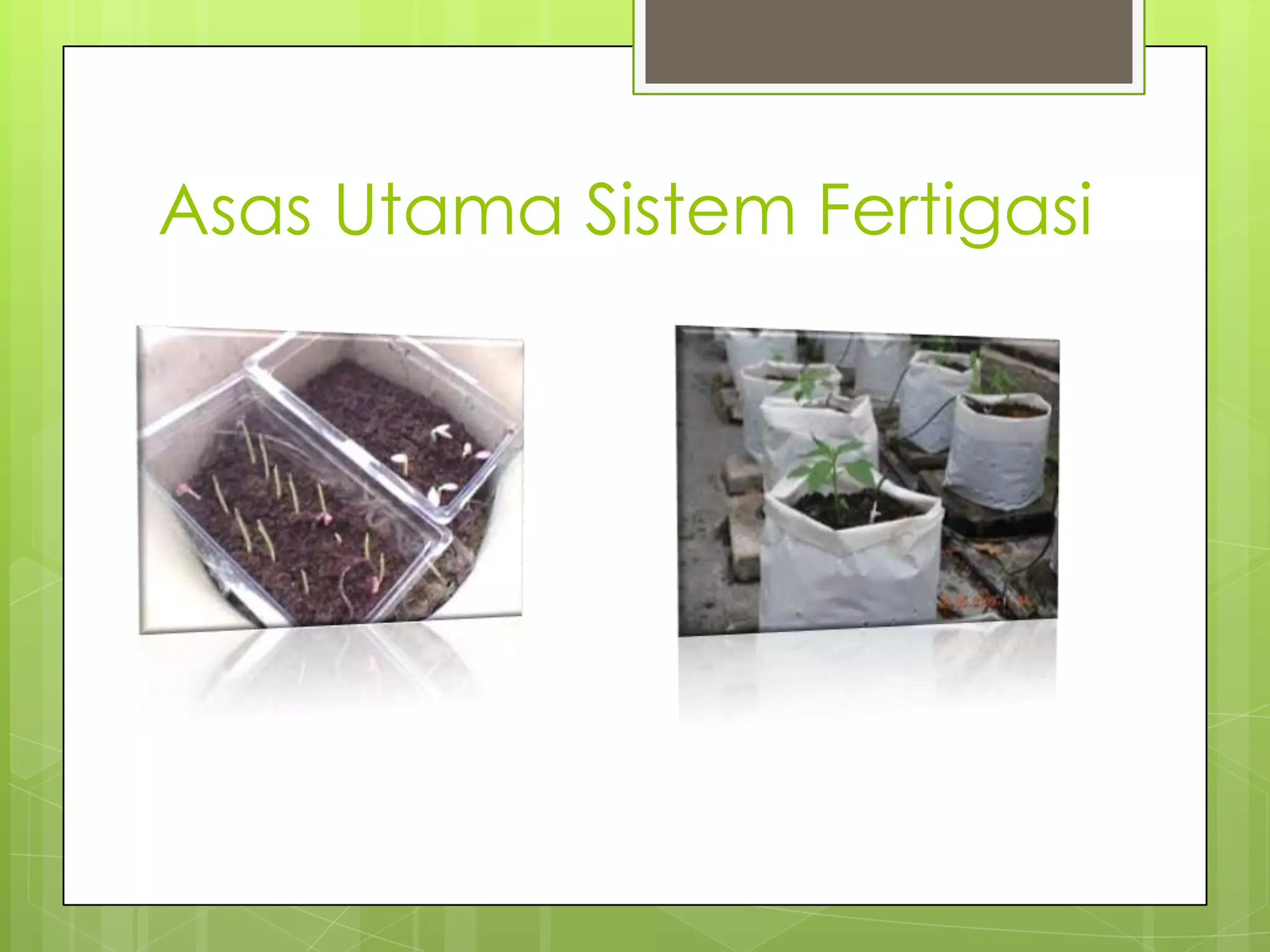 Fertigasi | PPTX