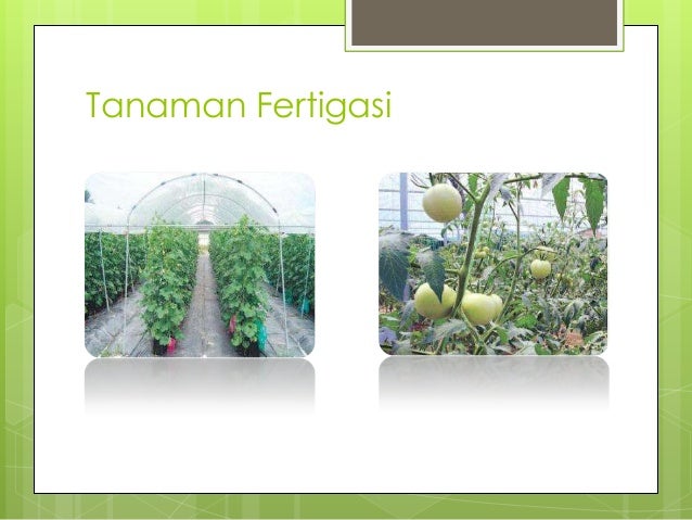 Fertigasi Fertigasi