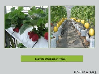 Normal Fertigation Fertigation system | PPT