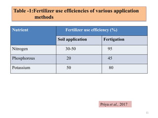 Fertigation in cucurbits | PPTX