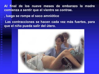 Al final de los nueve meses de embarazo la madre comienza a sentir que el vientre se contrae. 
, luego se rompe el saco amniótico 
Las contracciones se hacen cada vez más fuertes, para que el niño pueda salir del útero.  