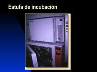 Estufa de incubación 