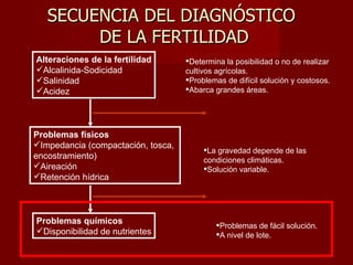 SECUENCIA DEL DIAGNÓSTICO  DE LA FERTILIDAD Alteraciones de la fertilidad Alcalinida-Sodicidad Salinidad Acidez Problemas físicos Impedancia (compactación, tosca,  encostramiento) Aireación  Retención hídrica Problemas químicos Disponibilidad de nutrientes Determina la posibilidad o no de realizar cultivos agrícolas.  Problemas de difícil solución y costosos.  Abarca grandes áreas. La gravedad depende de las condiciones climáticas. Solución variable. Problemas de fácil solución. A nivel de lote. 