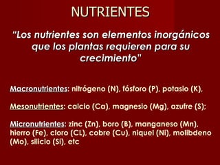 “ Los nutrientes son elementos inorgánicos que los plantas requieren para su crecimiento ” Macronutrientes :   nitrógeno (N), fósforo (P), potasio (K),  Mesonutrientes : calcio (Ca), magnesio (Mg), azufre (S); Micronutrientes :   zinc (Zn), boro (B), manganeso (Mn), hierro (Fe), cloro (CL), cobre (Cu), niquel (Ni), molibdeno (Mo), silicio (Si), etc NUTRIENTES 