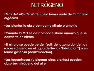 Más del 98% del N del suelo forma parte de la materia orgánica Las plantas lo absorben como nitrato o amonio Cuando la MO se descompone libera amonio que se convierte en nitrato El nitrato se puede perder (salir de la zona donde hay raíces) disuelto en el agua de lluvia (“lixiviación”) o en forma gaseosa (denitrificación) Las leguminosas (y algunas otras plantas) pueden absorber nitrógeno del aire NITRÓGENO 