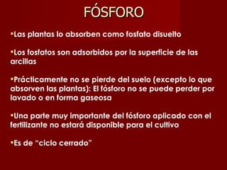 Las plantas lo absorben como fosfato disuelto Los fosfatos son adsorbidos por la superficie de las arcillas Prácticamente no se pierde del suelo (excepto lo que absorven las plantas): El fósforo no se puede perder por lavado o en forma gaseosa Una parte muy importante del fósforo aplicado con el fertilizante no estará disponible para el cultivo Es de “ciclo cerrado” FÓSFORO 