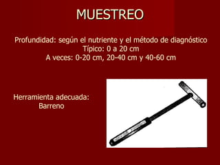 MUESTREO Profundidad: según el nutriente y el método de diagnóstico Típico: 0 a 20 cm A veces: 0-20 cm, 20-40 cm y 40-60 cm Herramienta adecuada: Barreno 