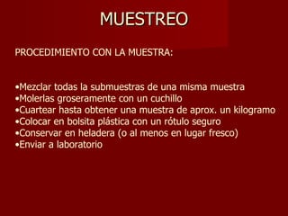MUESTREO PROCEDIMIENTO CON LA MUESTRA: Mezclar todas la submuestras de una misma muestra Molerlas groseramente con un cuchillo Cuartear hasta obtener una muestra de aprox. un kilogramo Colocar en bolsita plástica con un rótulo seguro Conservar en heladera (o al menos en lugar fresco) Enviar a laboratorio  