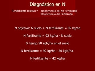 Diagnóstico en N Rendimiento relativo  =  Rendimiento del  No Fertilizado Rendimiento del  Fertilizado  N objetivo: N suelo + N fertilizante = 92 kg/ha N fertilizante = 92 kg/ha - N suelo Si tengo 50 kgN/ha en el suelo N fertilizante = 92 kg/ha - 50 kgN/ha  N fertilizante = 42 kg/ha 