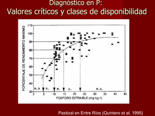 Diagnóstico en P:  Valores críticos y clases de disponibilidad Pastizal en Entre Ríos (Quintero et al. 1995) 