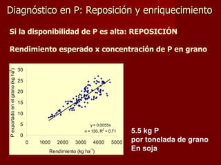 Diagnóstico en P: Reposición y enriquecimiento Si la disponibilidad de P es alta: REPOSICIÓN Rendimiento esperado x concentración de P en grano 5.5 kg P  por tonelada de grano En soja 