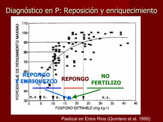 Diagnóstico en P: Reposición y enriquecimiento Pastizal en Entre Ríos (Quintero et al. 1995) REPONGO NO  FERTILIZO REPONGO Y ENRIQUEZCO 