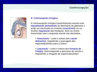 Fertilidade