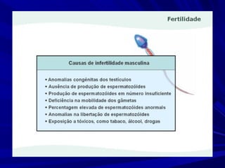 Fertilidade